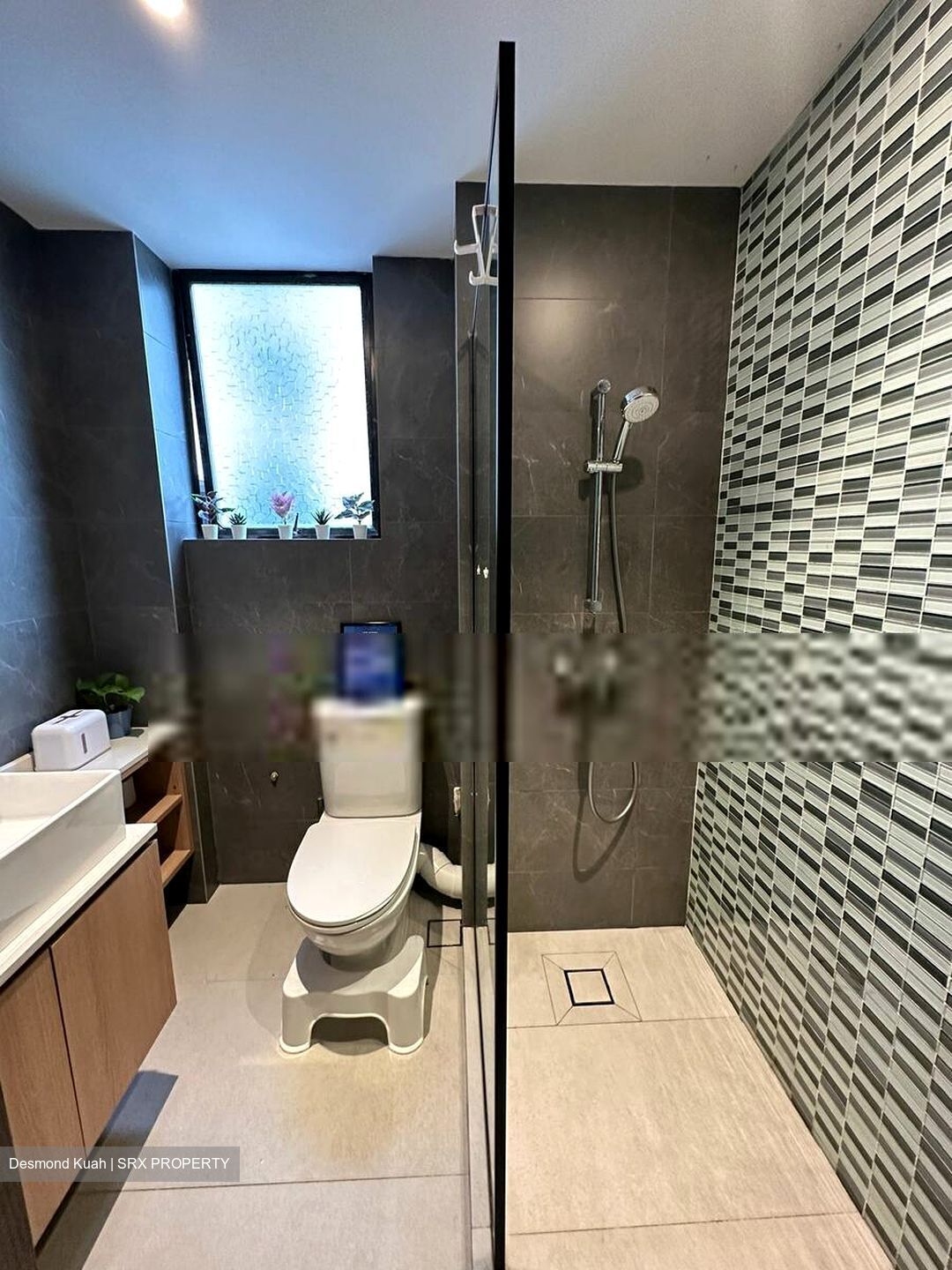 Botanic Gardens View (D10), Apartment #400813211